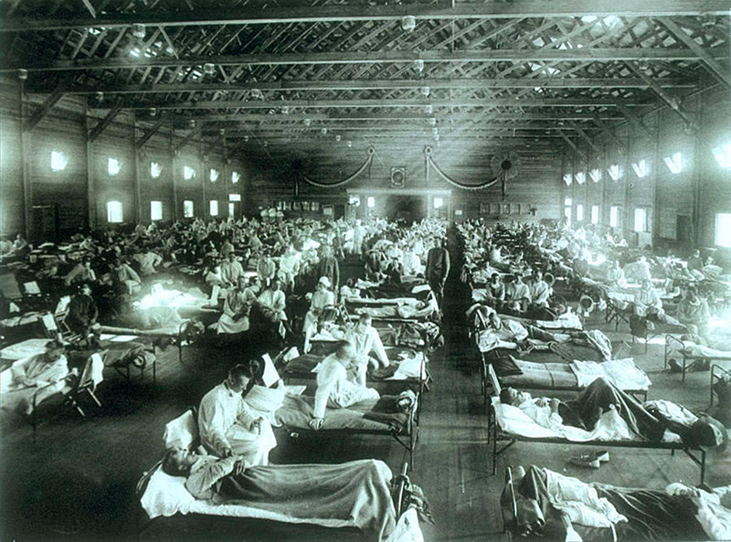 スペイン風邪の悪夢 インフルエンザパンデミック 新型インフルと感染症